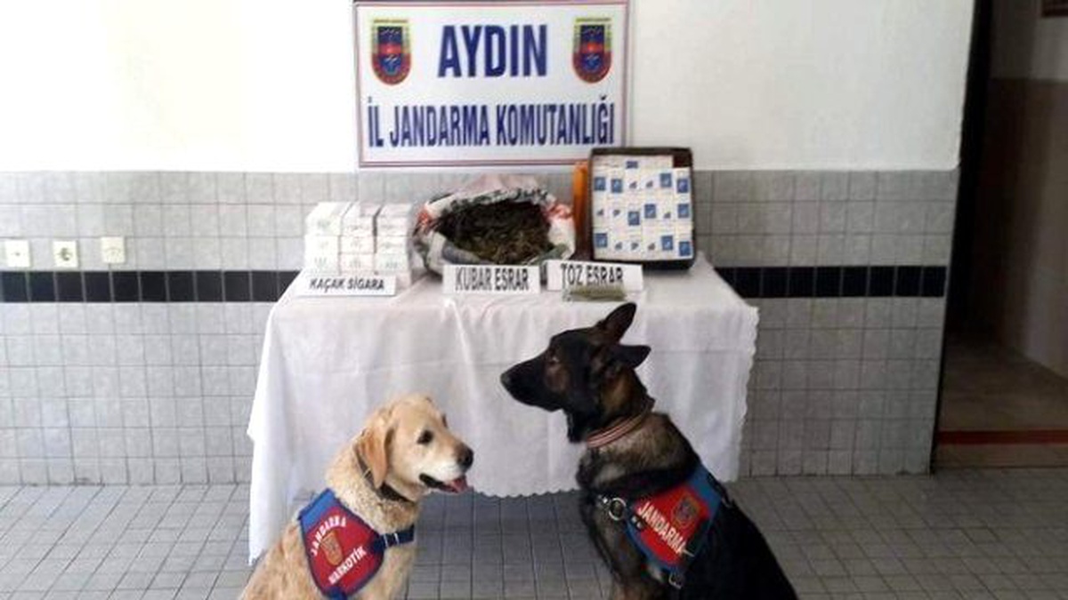 Otobüsle Uyuşturucu ve Kaçak Sigara Naklini Jandarma Engelledi