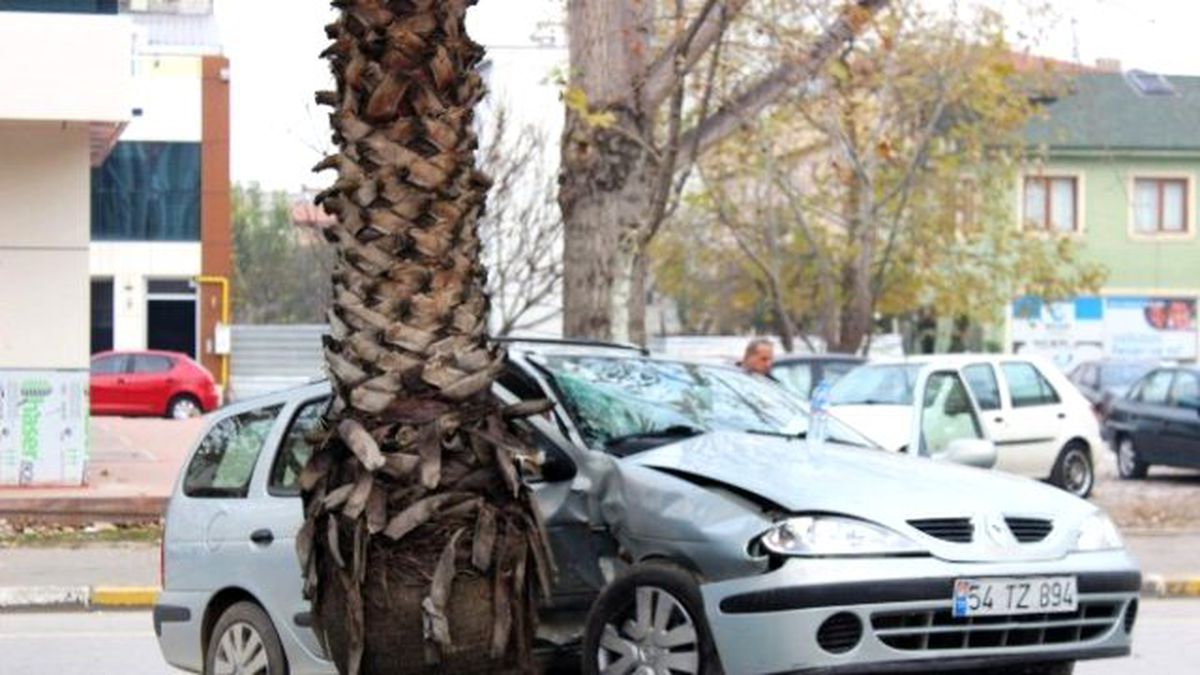 Palmiye Caddesi\'nde Kaza: 2 Yaralı