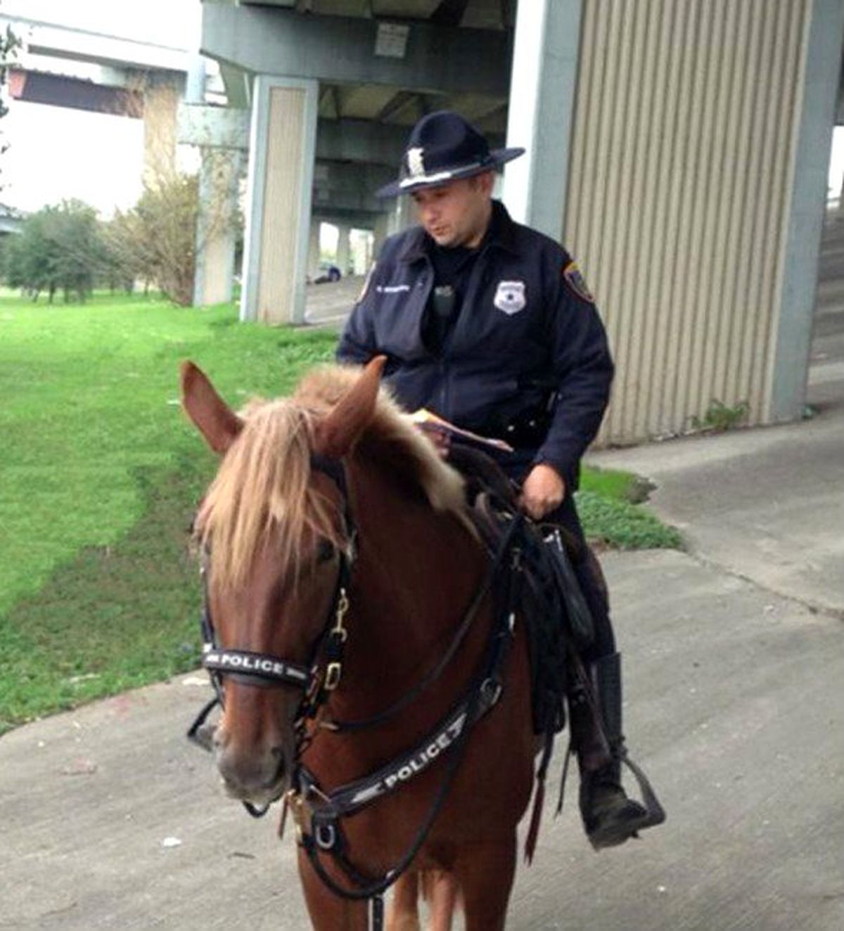 Polis Memuru, Atı Can Çekişirken Bir An Olsun Yanından Ayrılmadı