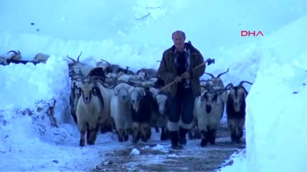 Rize Yaylada Mahsur Kalan Çobanlar 5 Gün Sonra Kurtarıldı