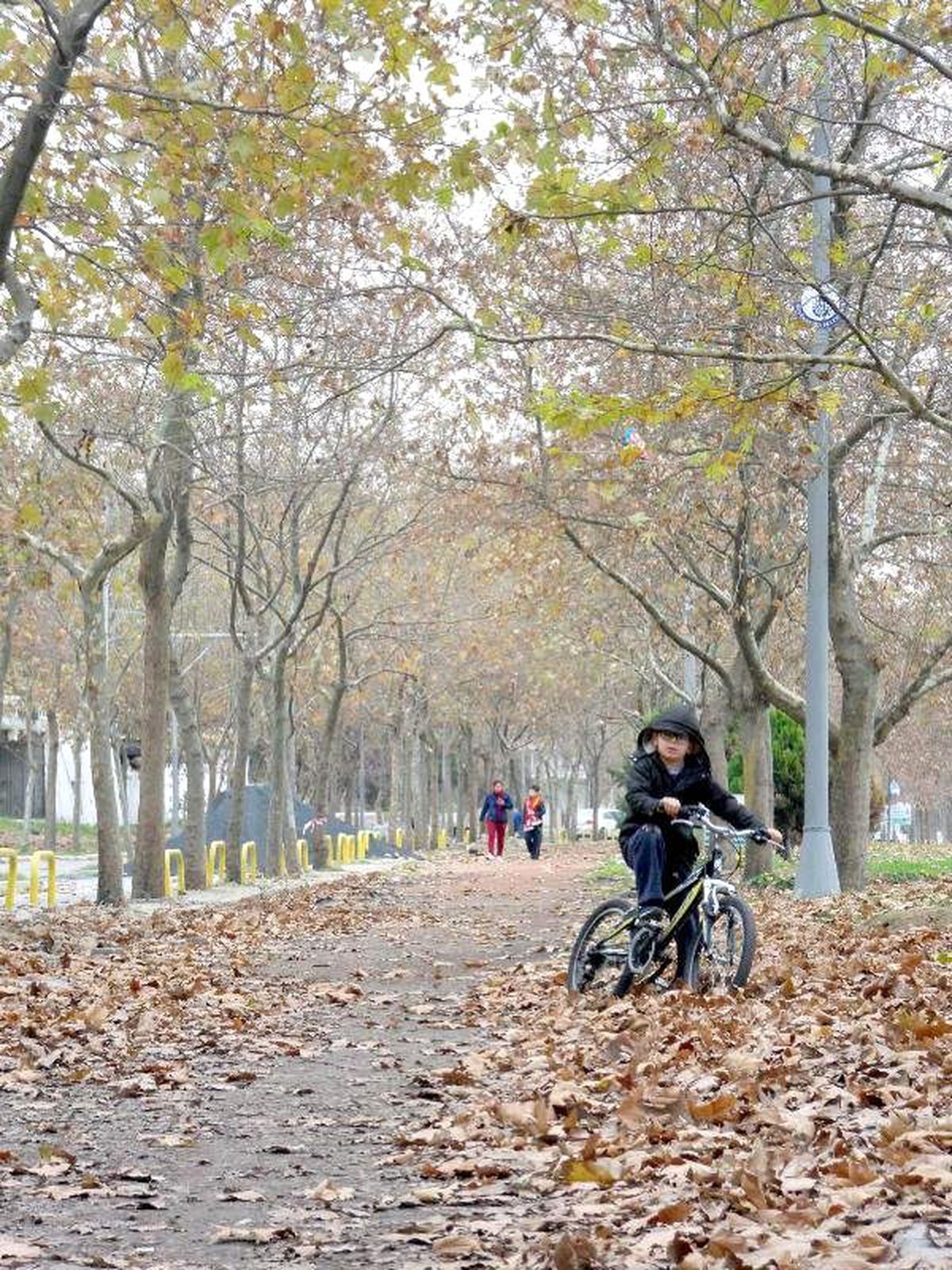 Avcılar\'da Sahil ve \'Orman Havası\' Bir Arada