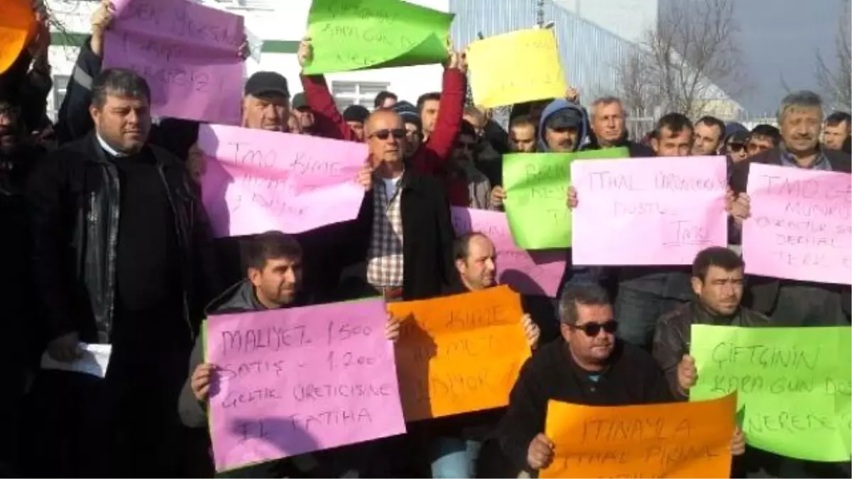 İpsalalı Çeltikçiler, TMO\'yu Protesto Etti