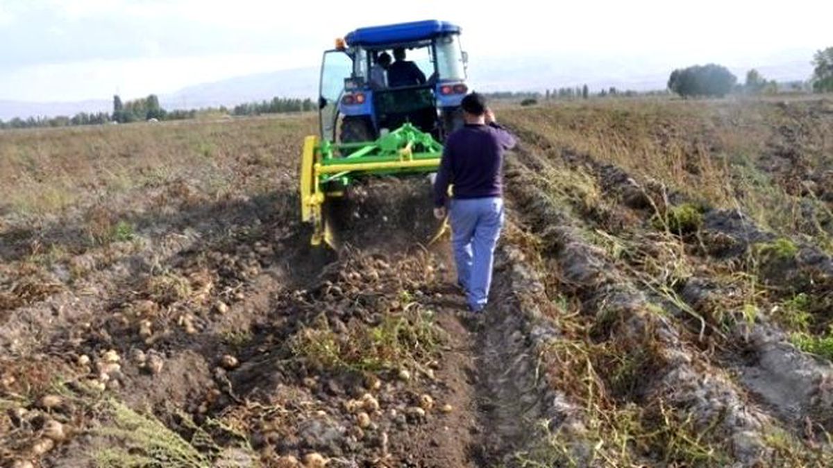 11 Aralık Uluslararası Dağ Tarımı Günü
