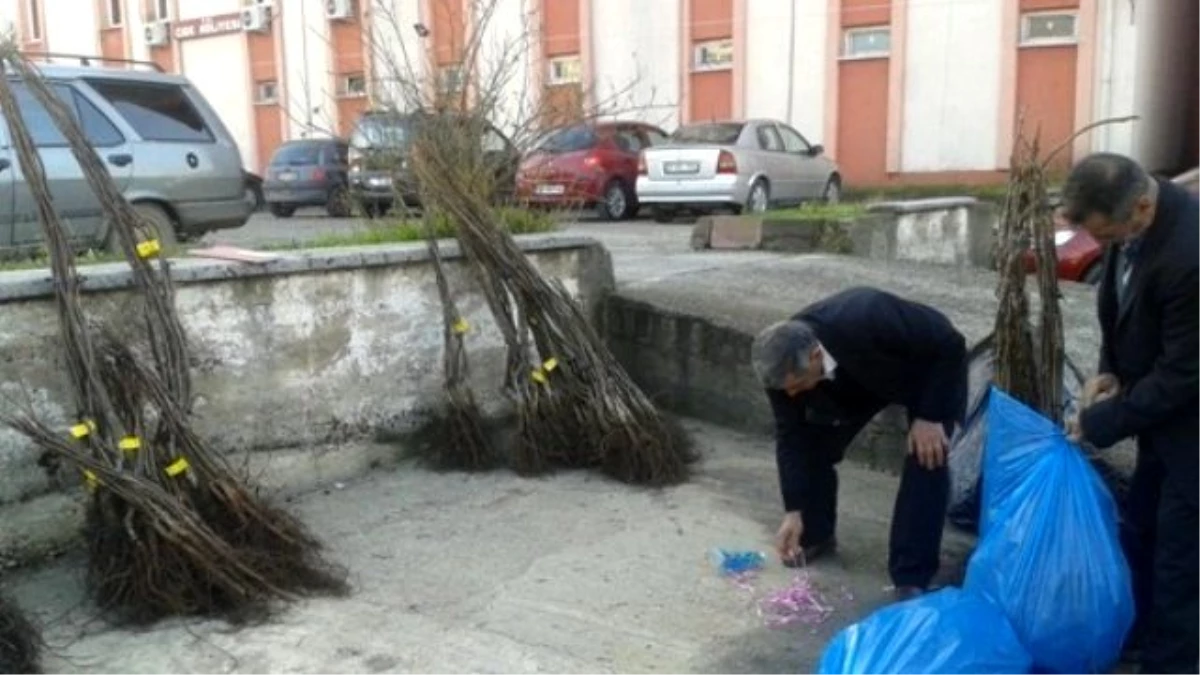 Çiftçilere 3 Bin Adet Ceviz Fidanı Dağıtıldı