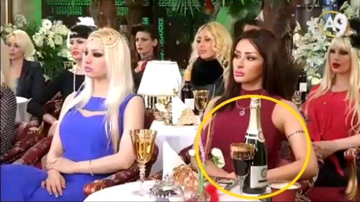 Kedicik, Şampanya İçtikleri Haberlerine İsyan Etti!
