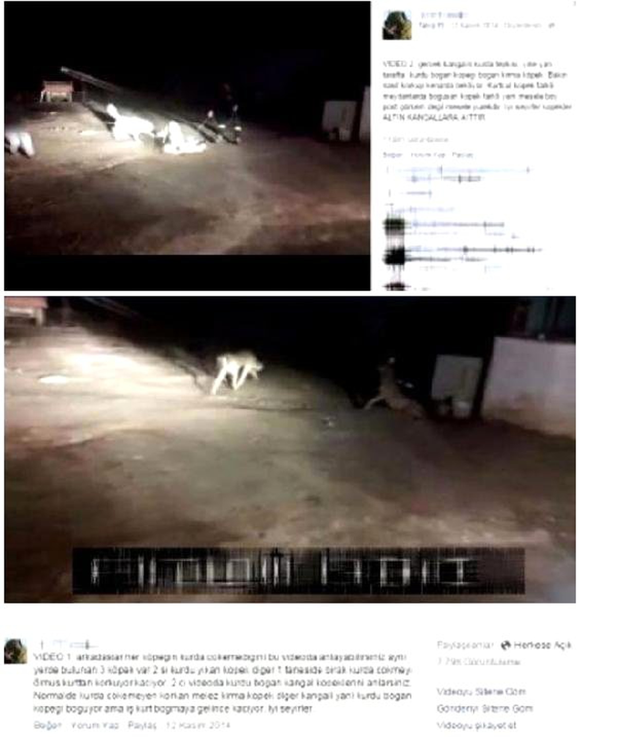 Sivas\'ta Köpek Dövüştüren 2 Kişiye 5 Bin Lira Ceza