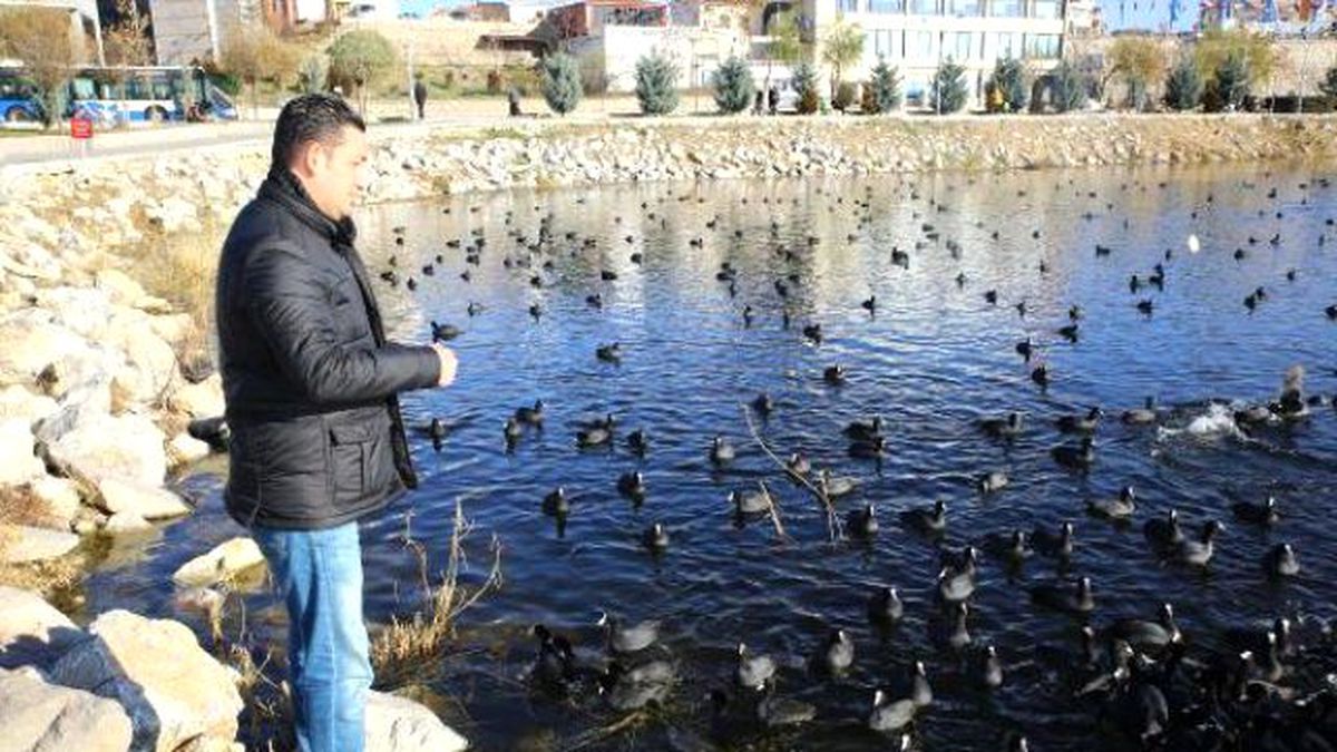 Mogan\'da Aç Kalan Kuşlara Yem