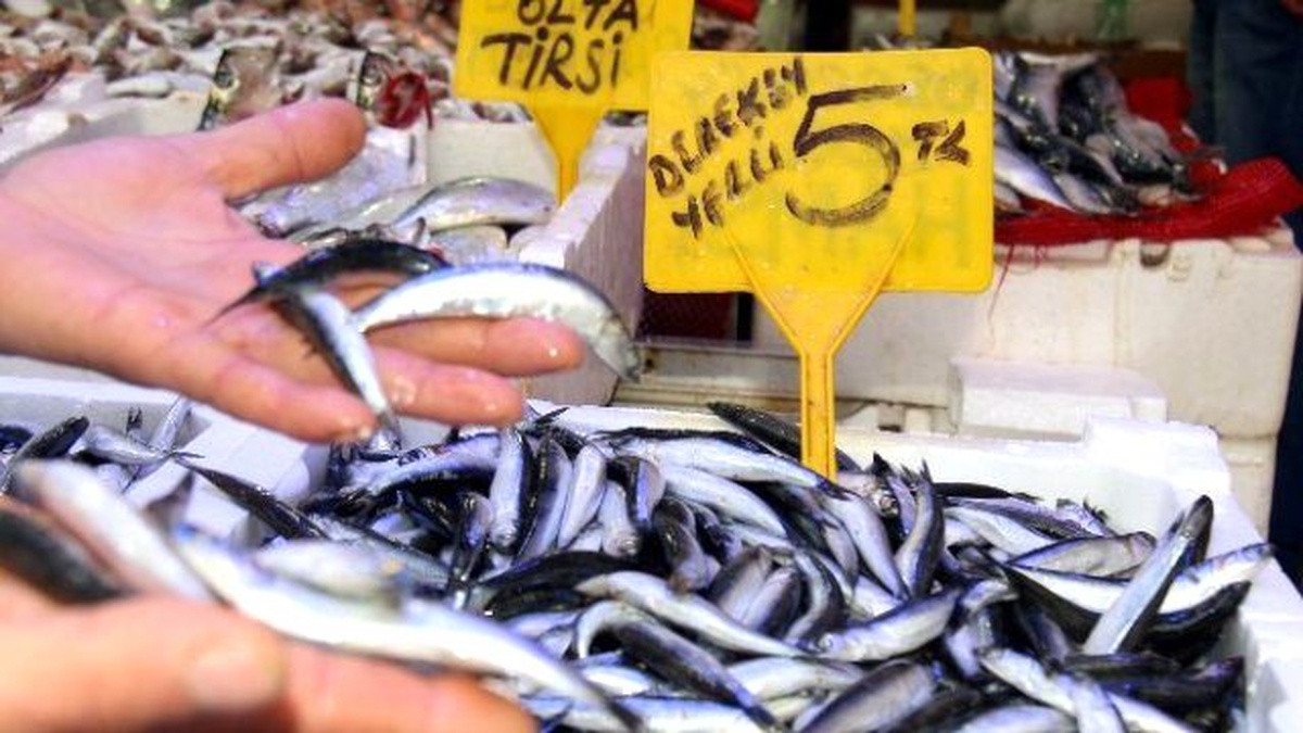 Samsun\'da Balık Fiyatları Yarı Yarıya Düştü