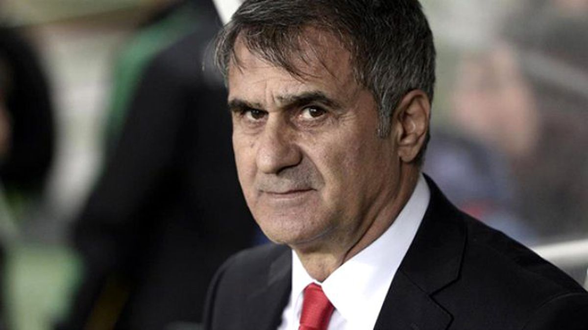 Şenol Güneş: Yenilgiyi Kaleciye Mal Etmek Doğru Değil
