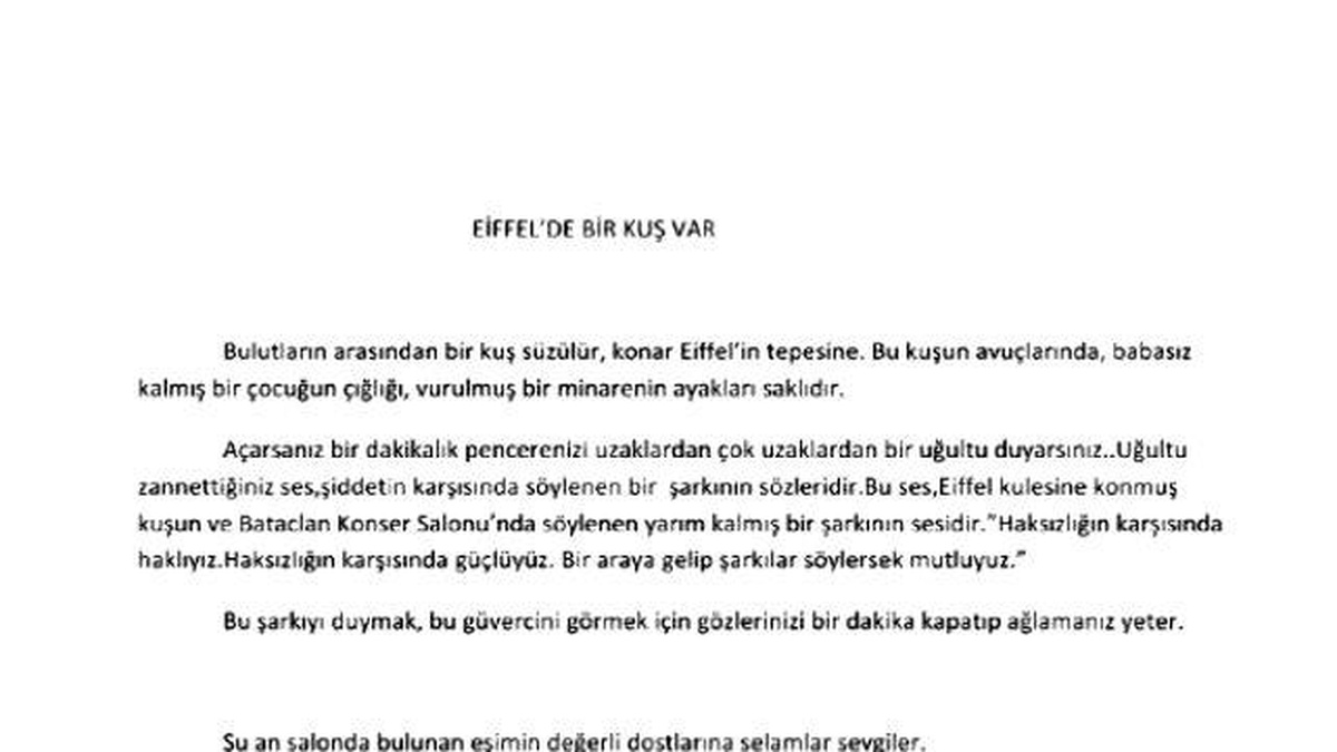 Türkan Elçi\'den Paris\'e Mesaj: Haksızlığın Karşısında Haklıyız