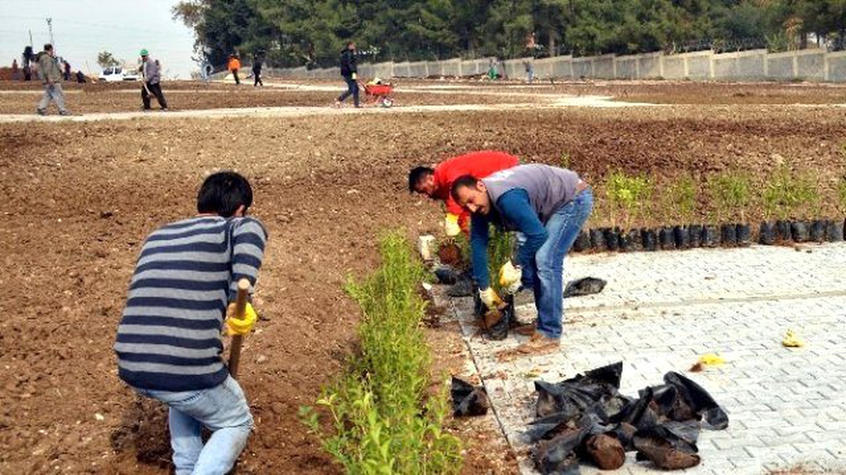Yakaköy Parkı\'nda Sona Gelindi