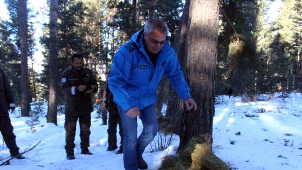 Ardahan Valisi, Dağda Yaban Hayvanları İçin Yem Bıraktı