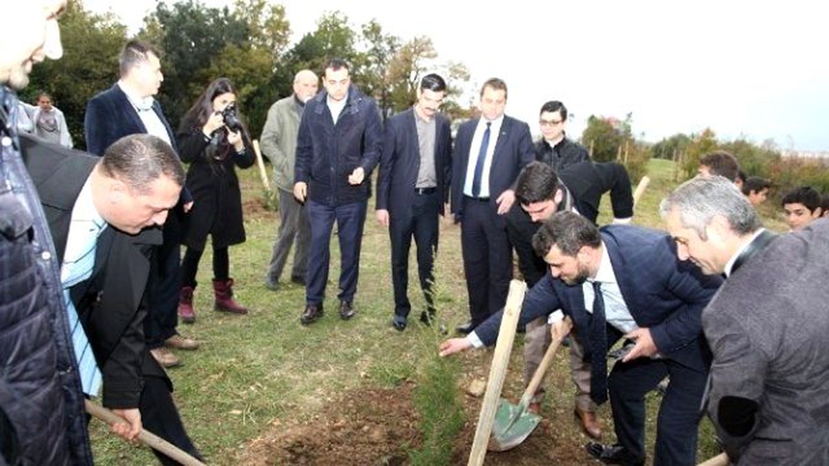 Başiskele\'de 2 Bin Ağaç Dikildi