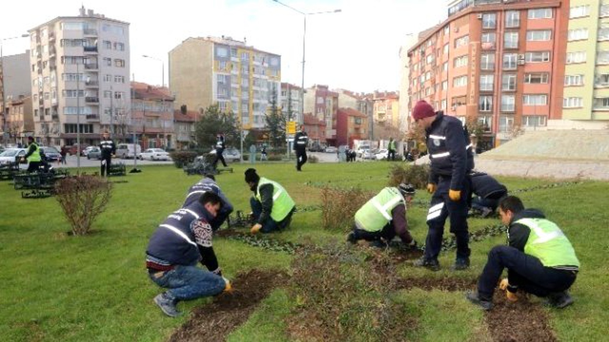 Büyükşehir Belediyesi Ekiplerinin Peyzaj Düzenlemeleri