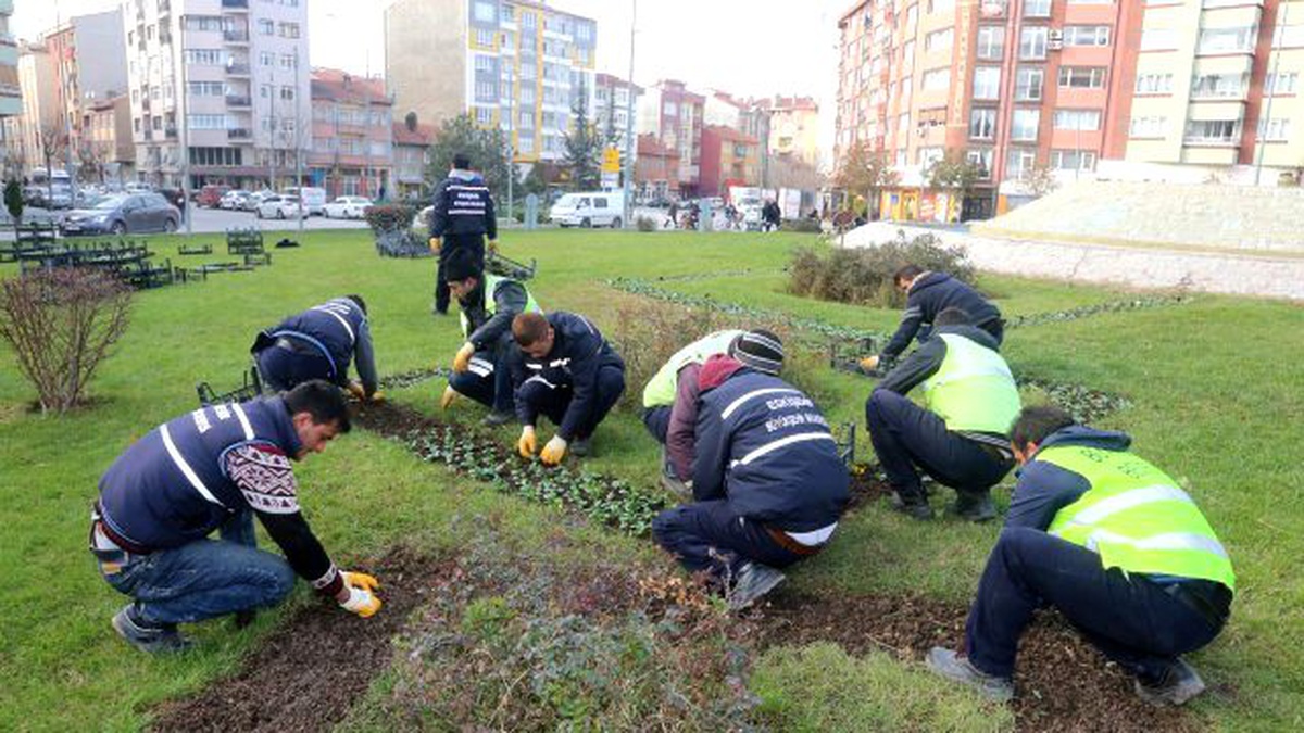 Büyükşehir Peyzaj Düzenlemelerine Hız Verdi