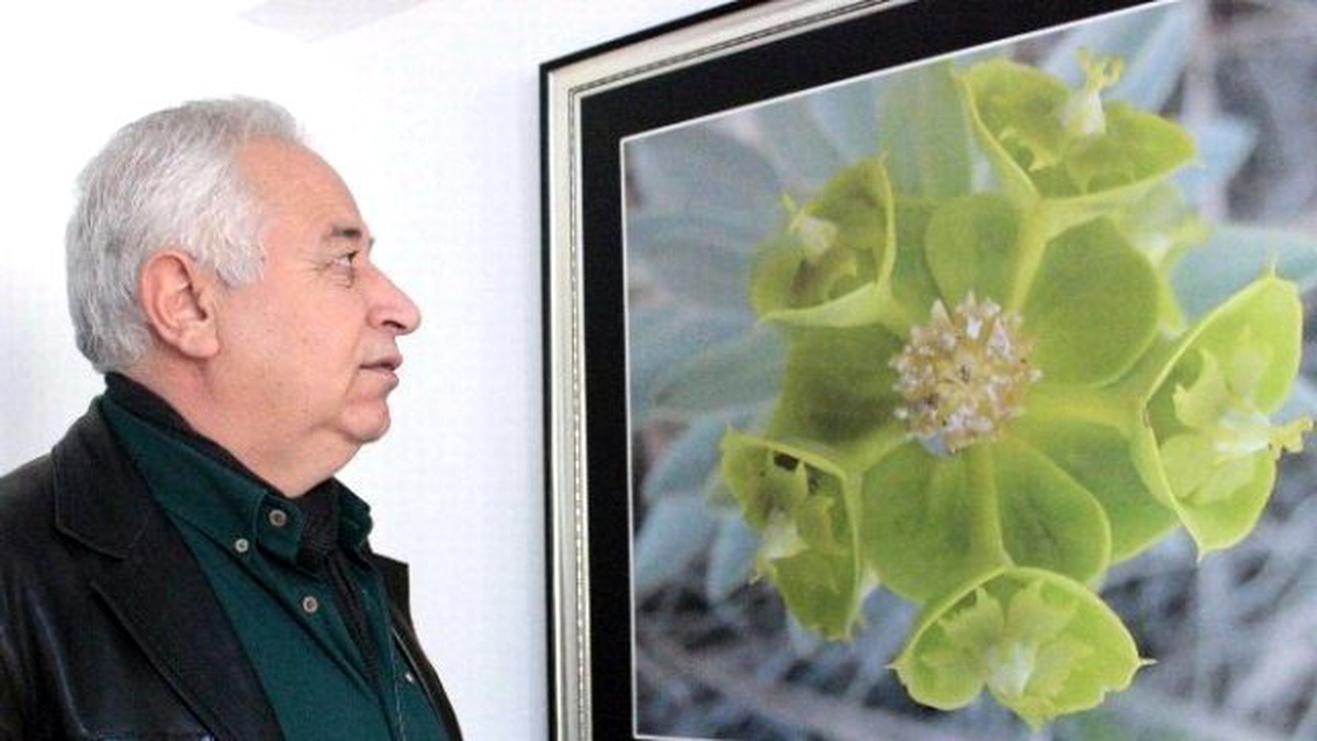 Dokuz Yıldır Aynı Fotoğrafı Çekmek İçin Çaba Sarf Ediyor
