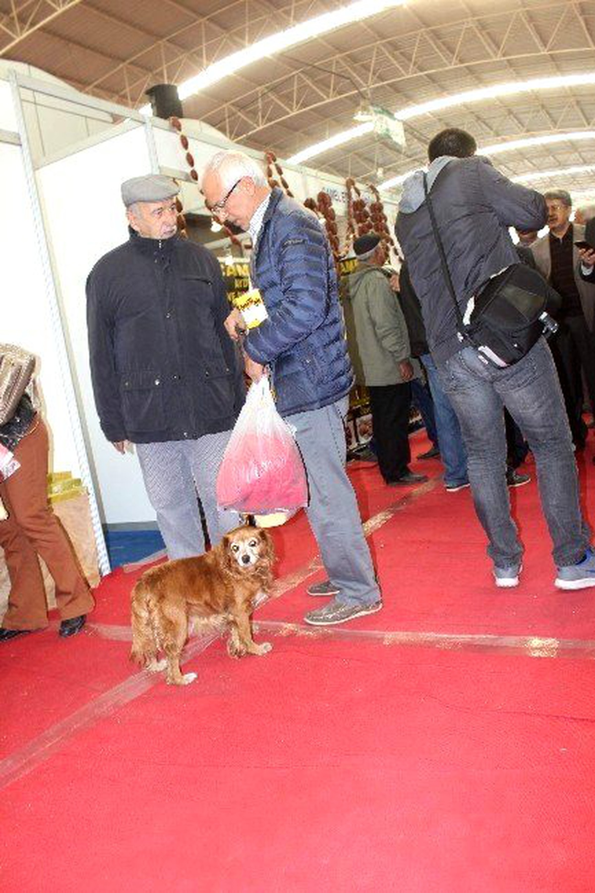 Gıda Fuarını Gezen Köpek Sucuk Reyonun Başından Ayrılmak İstemedi