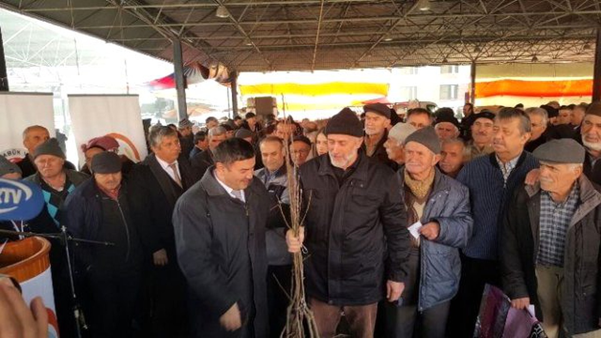 Karabük\'te 23 Bin Meyve Fidan Dağıtıldı