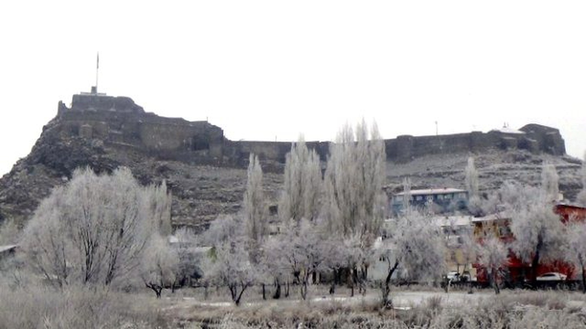 Kars\'ta Soğuk ve Sis Ağaçlarda Kırağı Oluşturdu