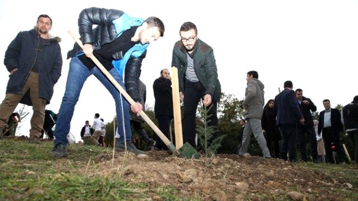 Paşadağ Mahallesinde 2 Bin Ağaç Dikildi