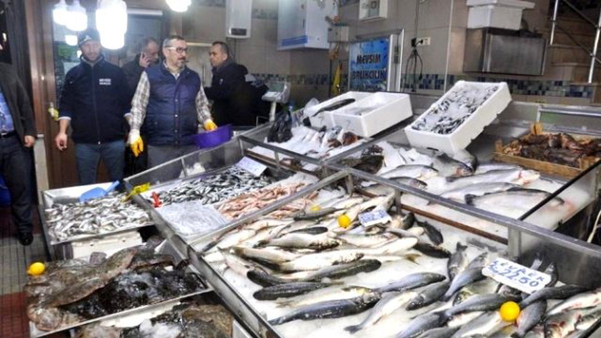 Sinop Halkı Balığa Doydu