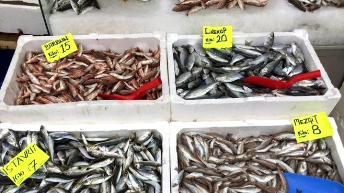 Tezgahlarda Balıklar Azaldı Fiyatlar Yükseldi