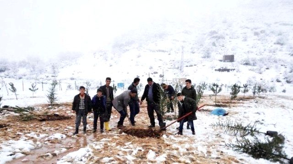 Öğretmen ve Öğrenciler Fidan Dikti