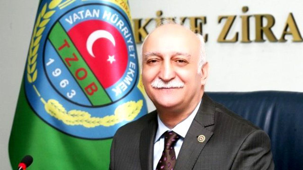Üretimde Örtü Altı Zamanı