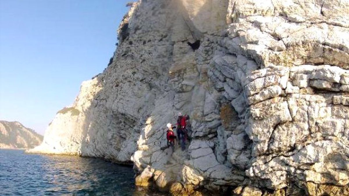 Dağda Mahsur Kalan Sahipsiz Keçi Kurtarıldı