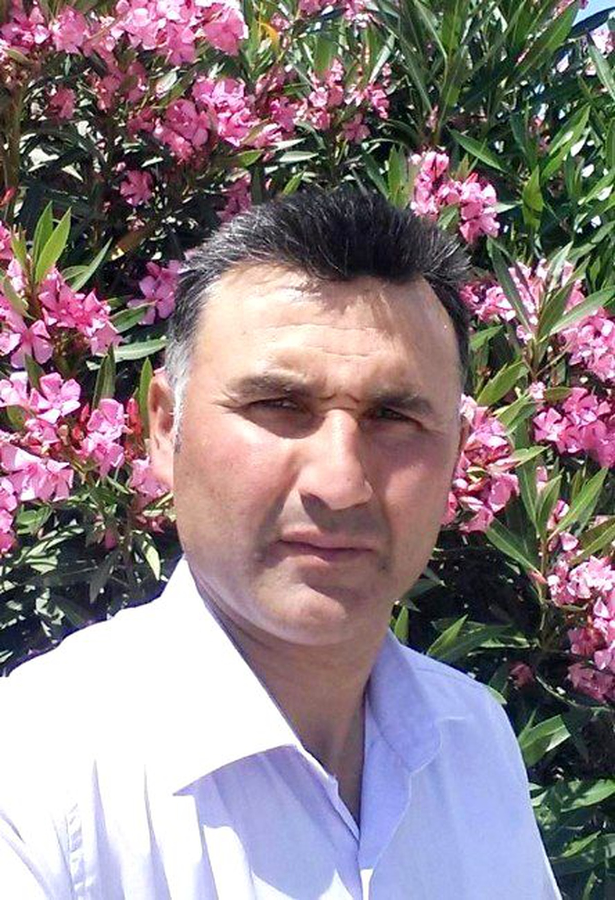 Denizli\'de Bir Kişi Kestiği Ağacın Altında Ölü Bulundu