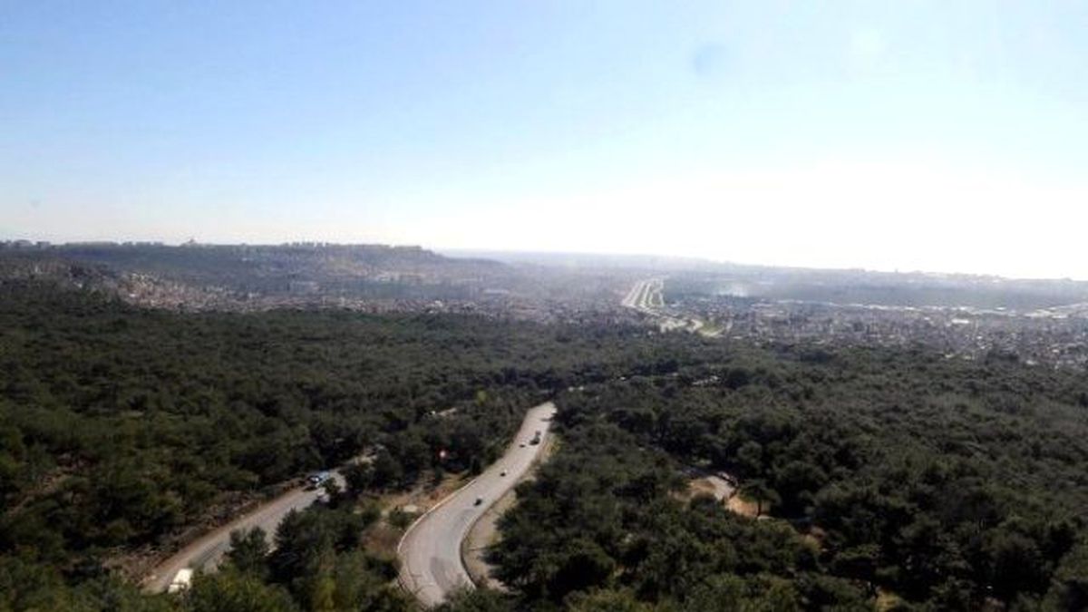 Kepezpark Orman Projesi Kamuoyu ile Paylaşılacak