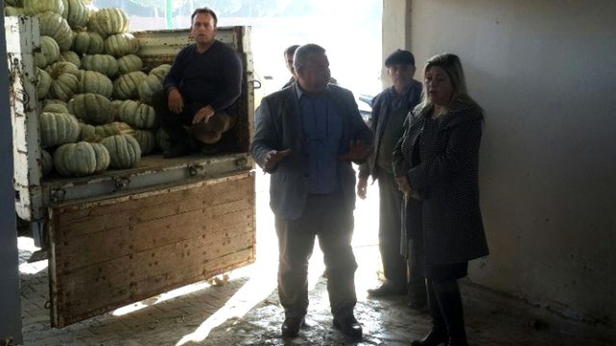 Kırkağaç\'ta Üreticinin Yüzünü Güldüren Hizmet