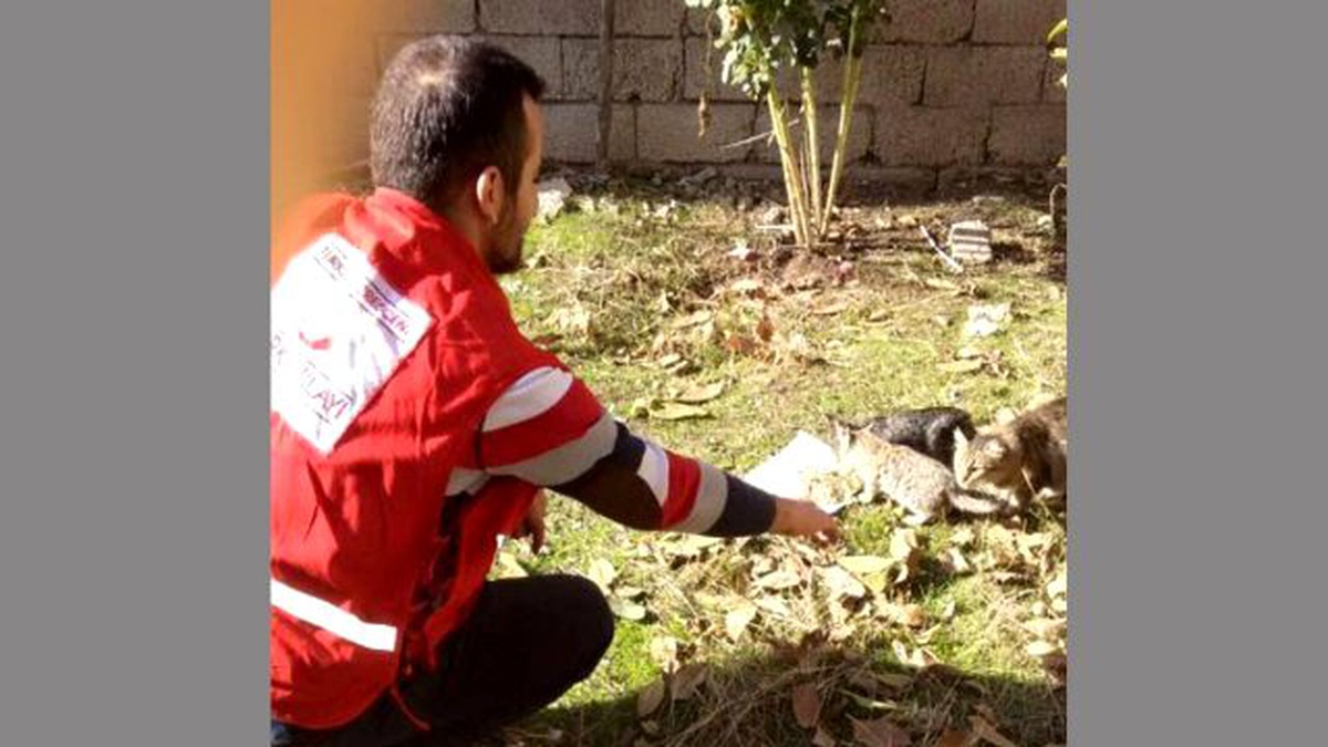 Kızılay, Aç Kalan Hayvanlar İçin Parklara Yem Bıraktı