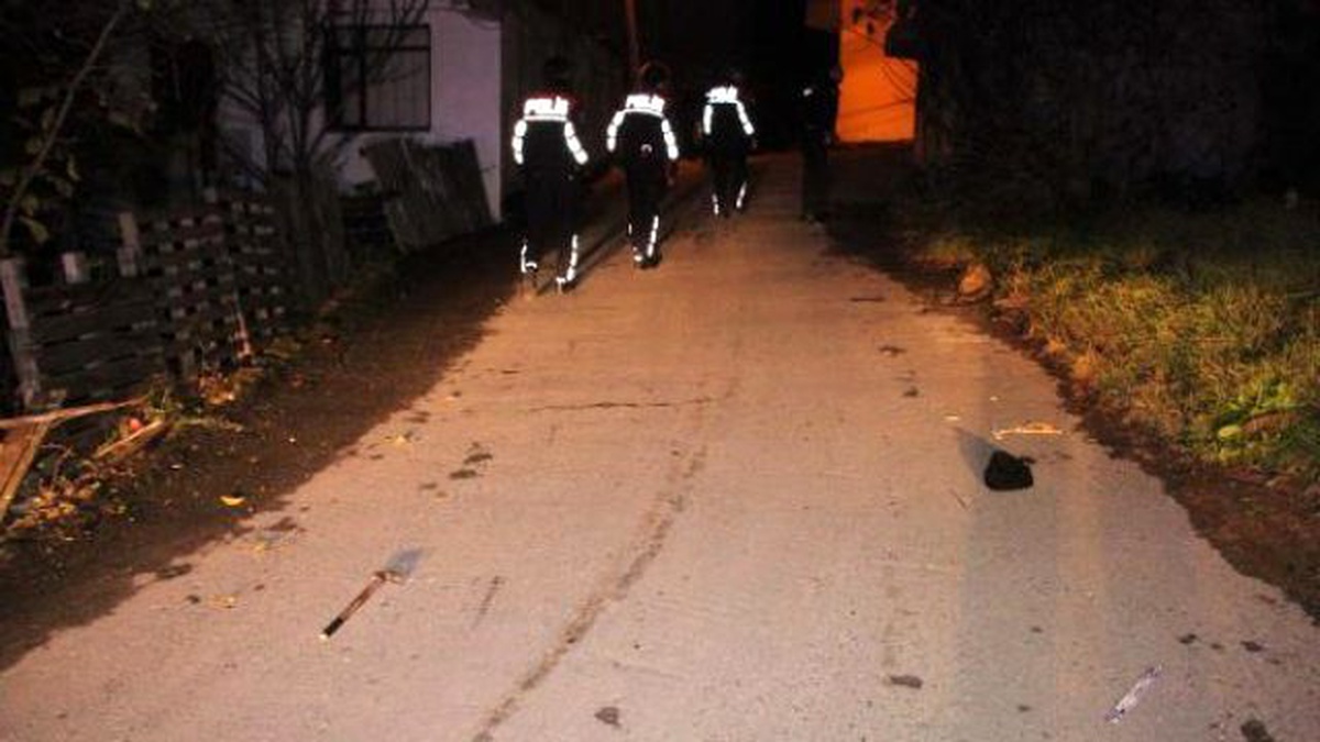 Köpek Yüzünden Çıkan Kavgada 1 Kişi Yaralandı