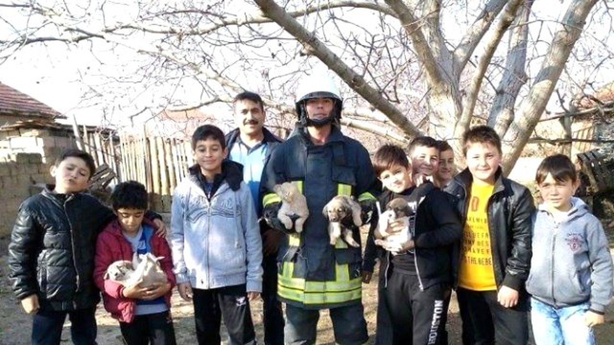 Denizli\'de Kuyuya Düşen Yavru Köpekleri İtfaiye Kurtardı