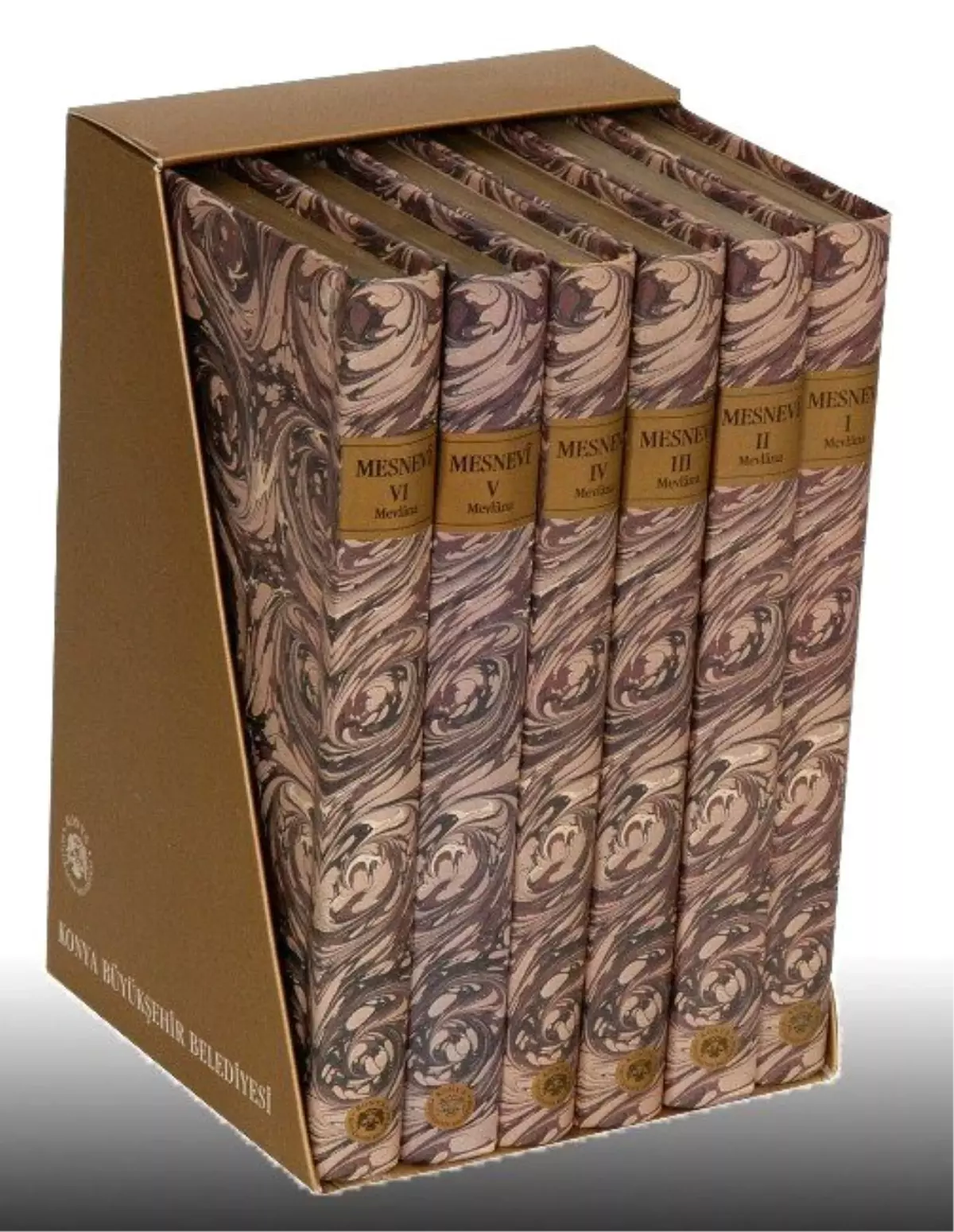 Mesnevi Tüm Dünyayı Sarıyor