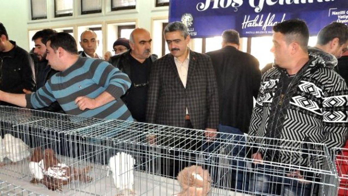 Nazilli\'de 2. Güvercin ve Kanarya Festivali Yapıldı