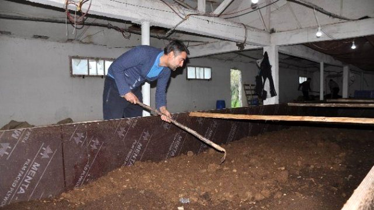 Organik Ürünler Artık Kaliforniya Solucanı Gübresiyle Yetişecek