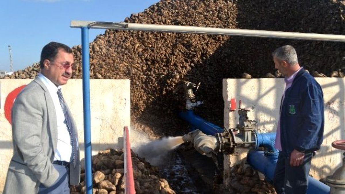 Muş\'ta Son 33 Yılın En Kaliteli Şekeri Üretildi