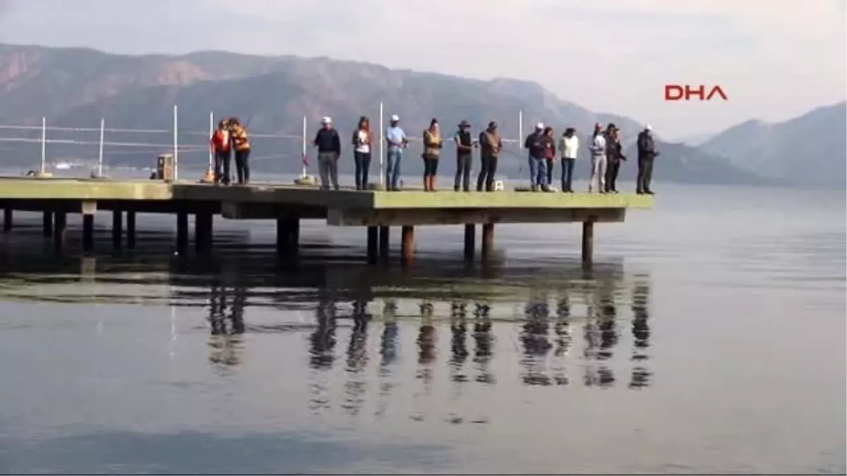 Oltalı Protestoya Devam