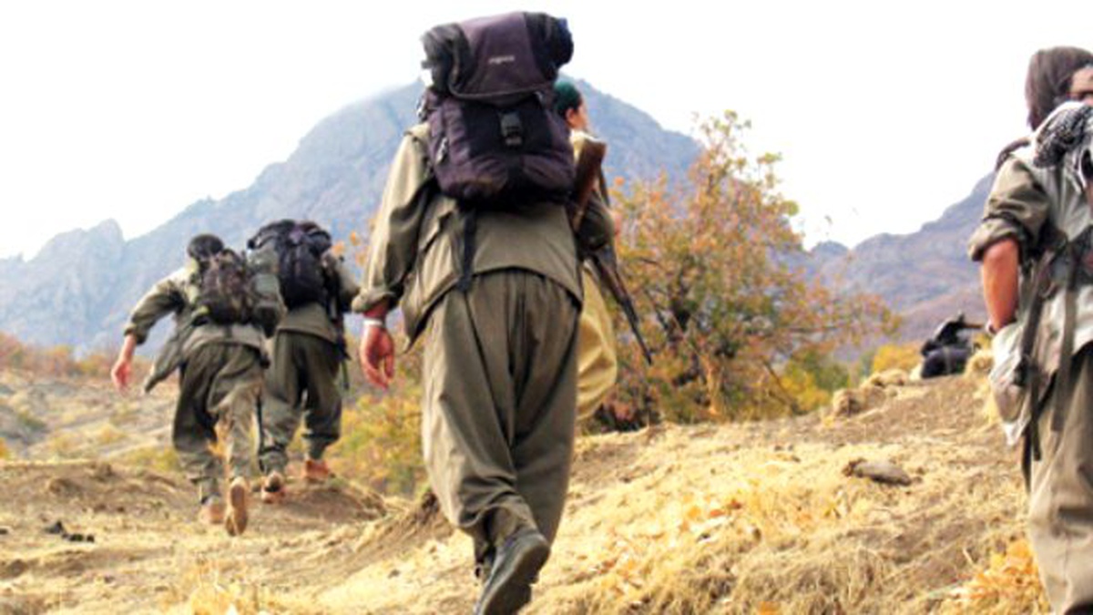 Şırnak\'ta 7 PKK\'lı Teslim Oldu
