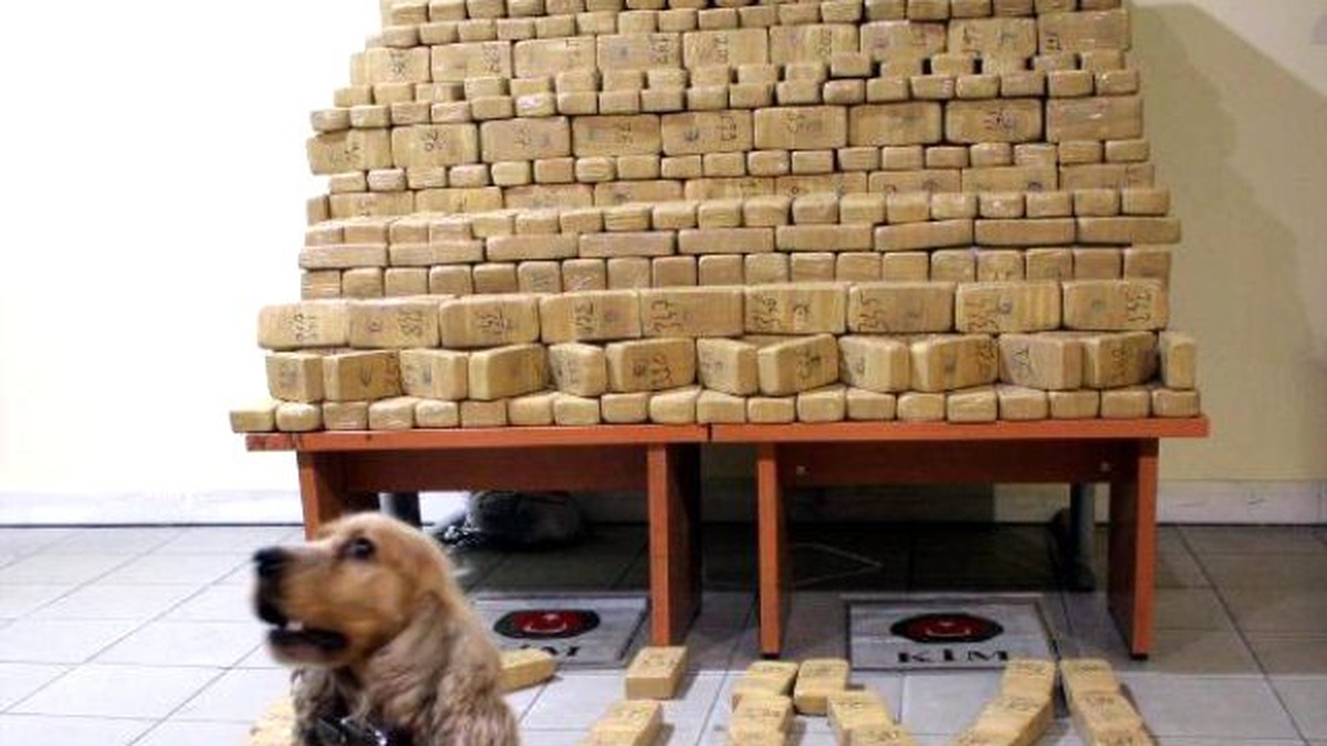 Türkmenistan\'tan Bursa\'ya İplik Taşıyan Tır\'dan 204 Kilo Eroin Çıktı