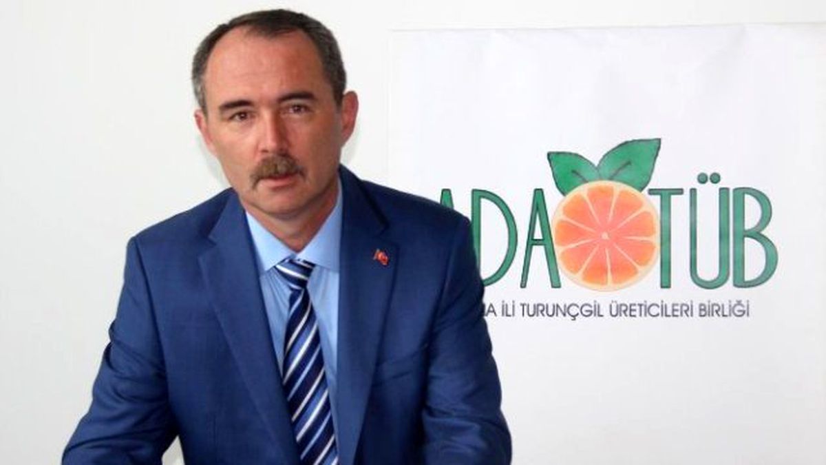 Turunçgil Üreticileri: Önlemler ve Rusya'ya Alternatif Gösterilen Pazarlar Zayıf