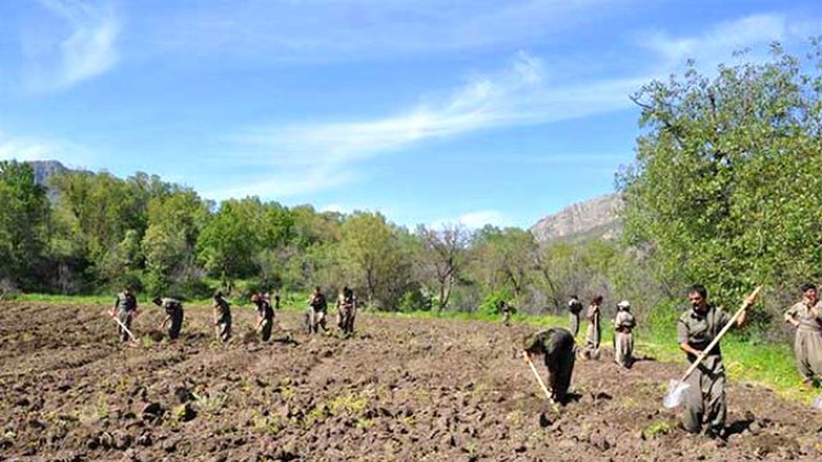 PKK, Kuzey Irak'ta 515 Köyü İşgal Etti; Tarım Yapıyor