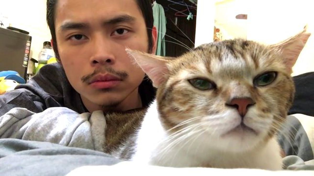 Ritim Tutan Kediyle Köpeği 1 Milyon Kişi İzledi