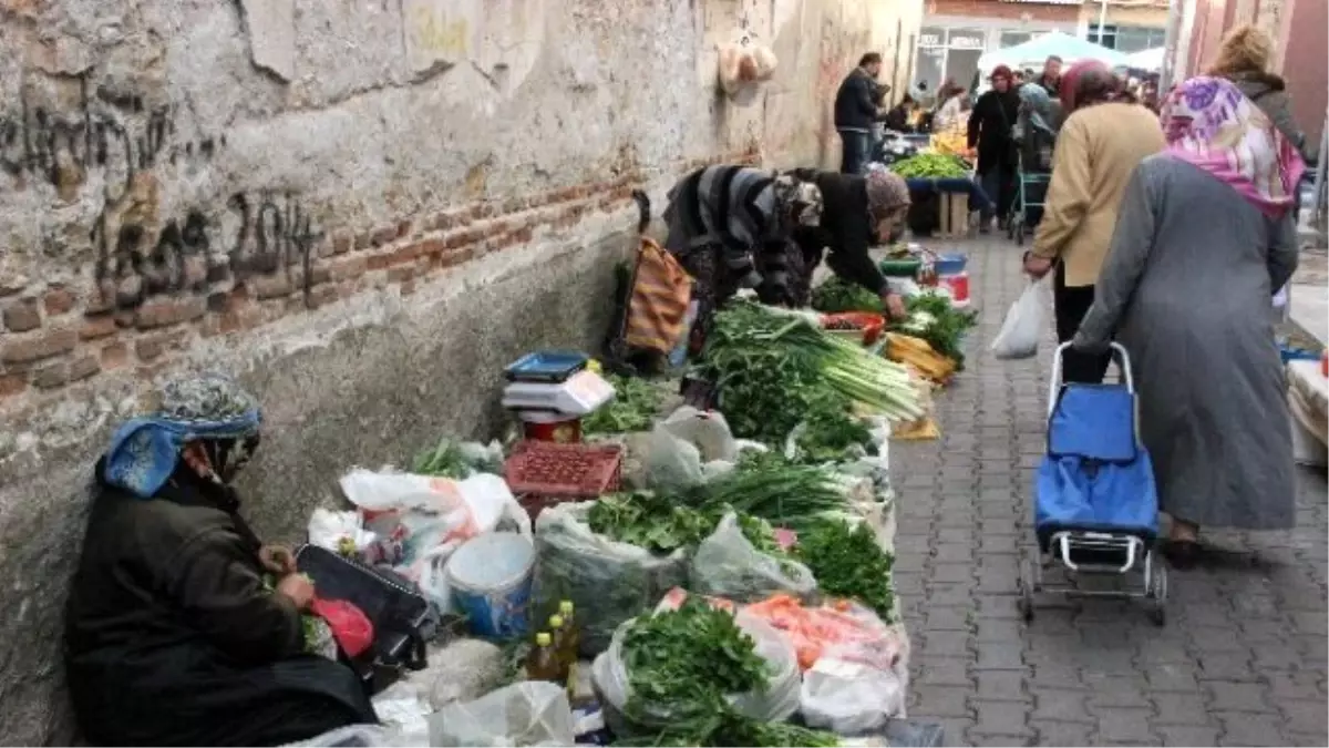 Yabani Otlar Geçim Kaynağı Oluyor