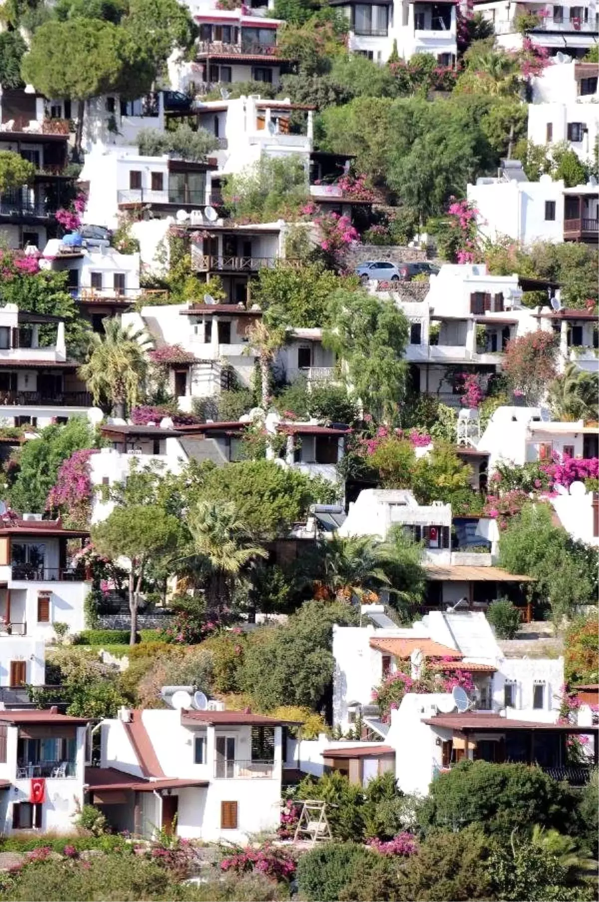 Kocadon: Bodrum\'da Narenciye Beyaz Evlere Yenik Düştü