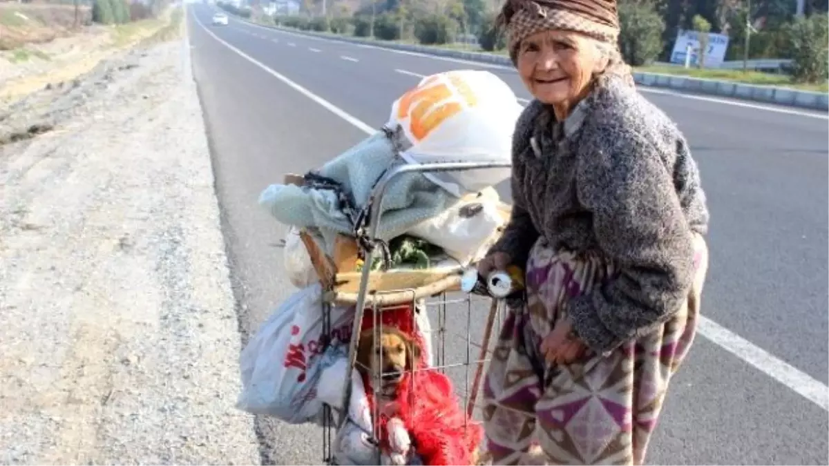 Meliha Ninenin Yaşam Koşulları ve Hayvan Sevgisi Görenleri Şaşırtıyor