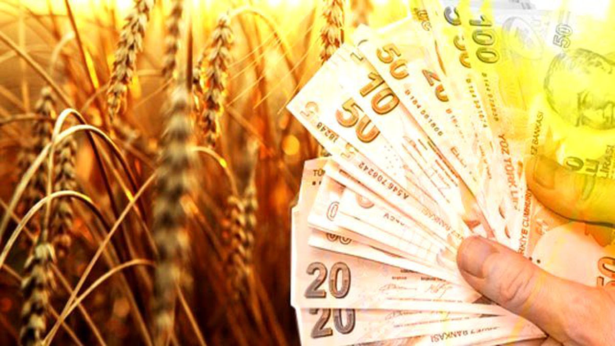 Çiftçiye Hibe Ve Kredi Desteği Uygulamaya Girdi