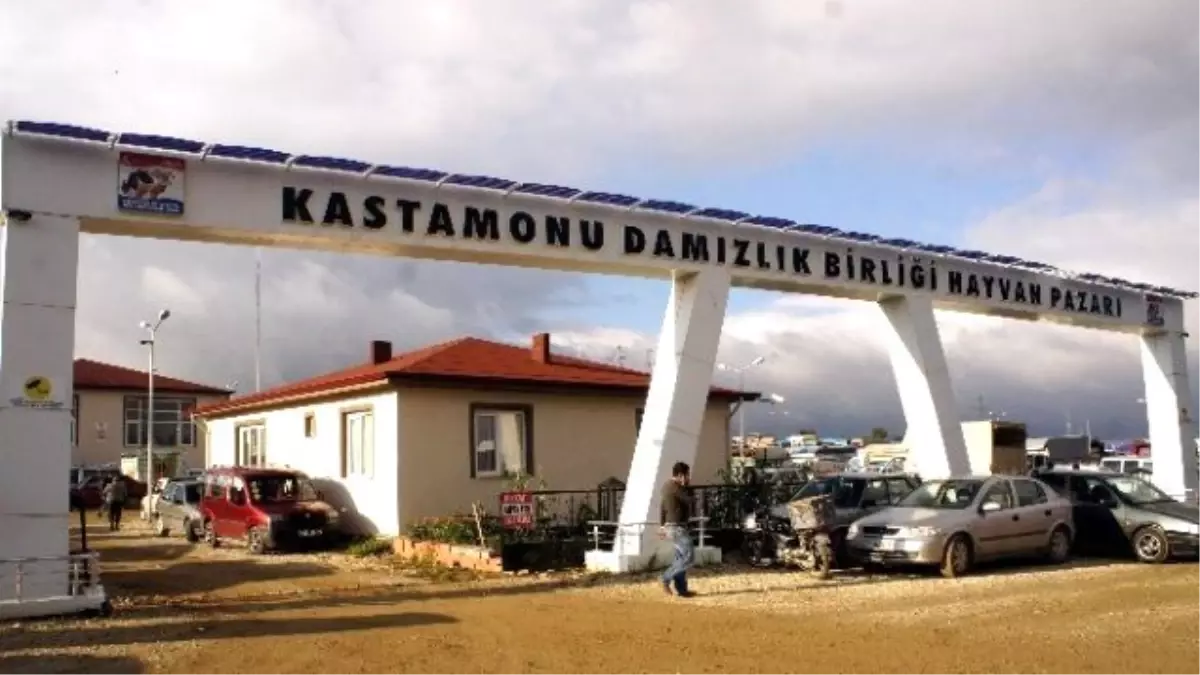 Kastamonu\'da Hayvan Pazarları \'Şap Hastalığı\' Nedeniyle Kapatıldı